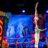 Acrobatics Show