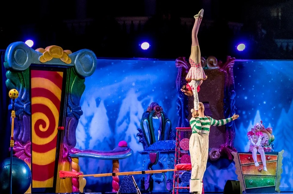 Acrobatics Show