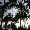 Nightlife in Bentota