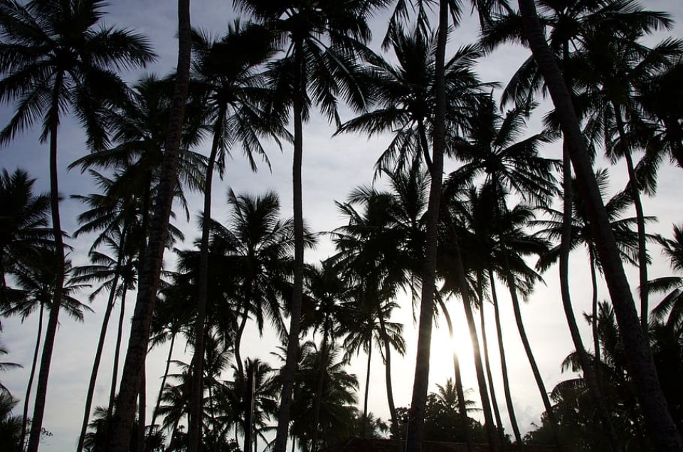 Nightlife in Bentota