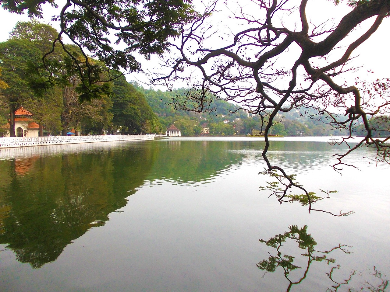 kandy-lake-241719_1280