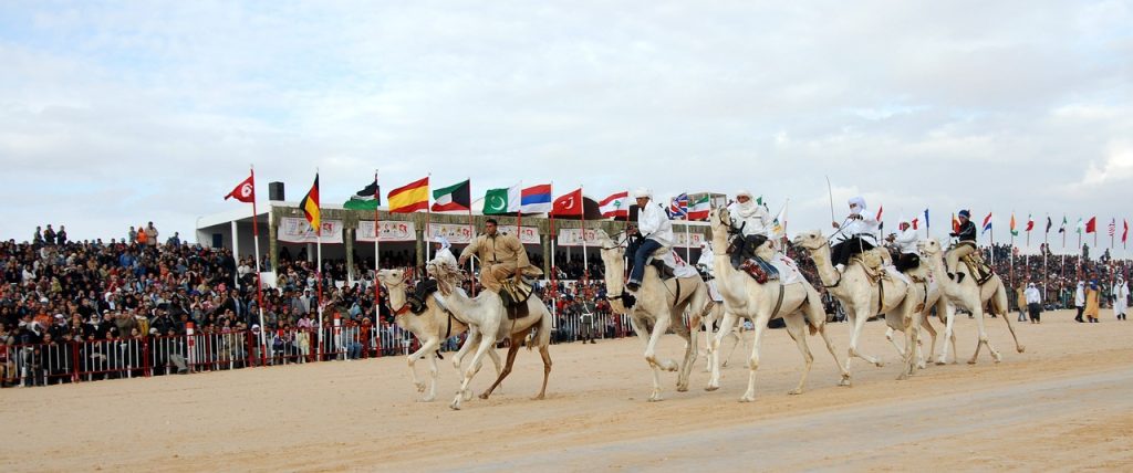 Camel Racing