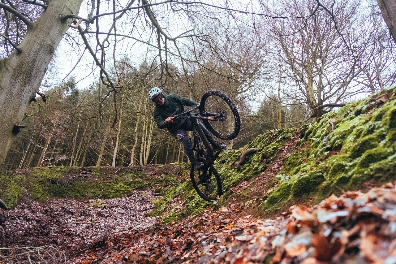 bicycle-5996251_1280