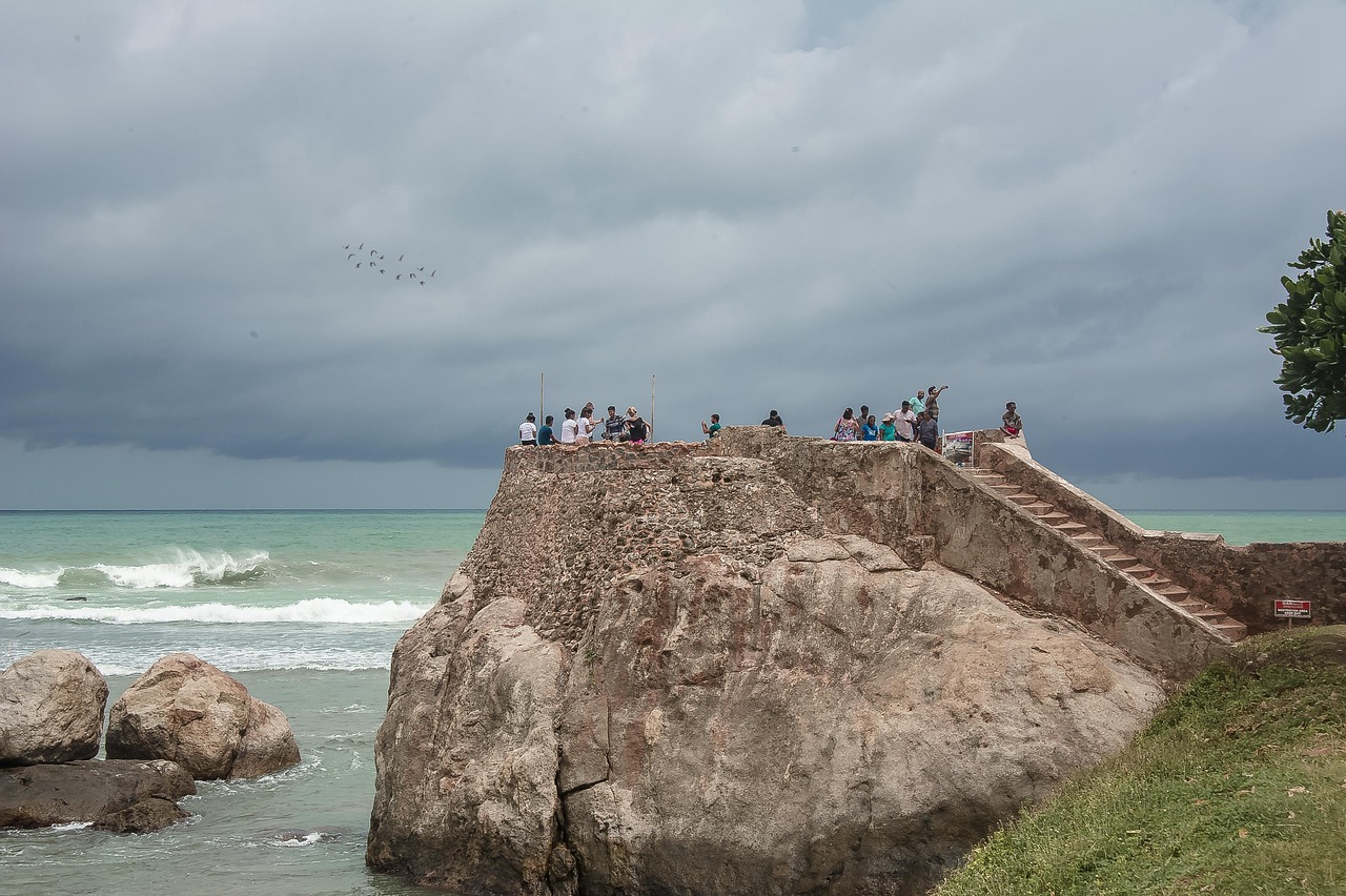 galle-4818526_1280