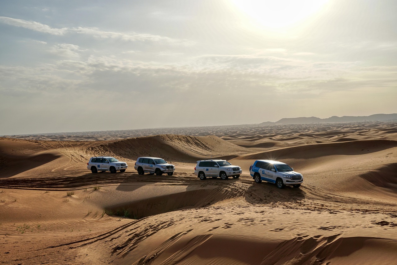 desert-5269853_1280