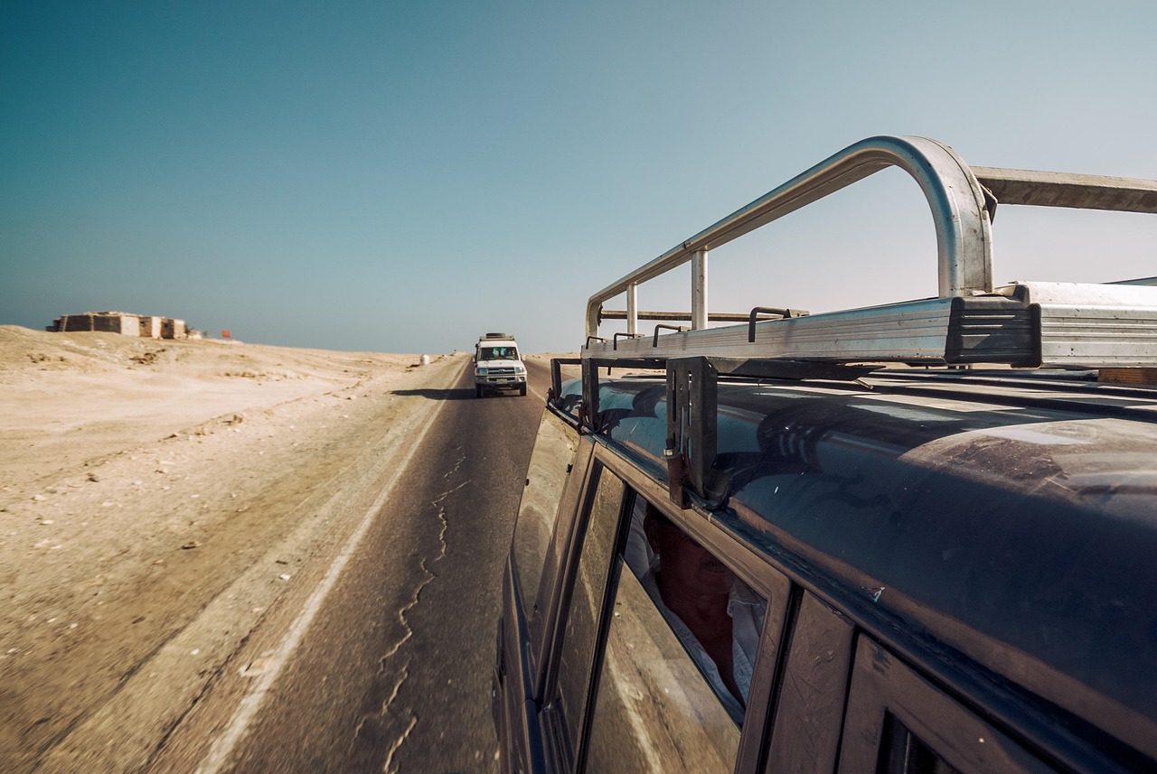 safari-4652364_1280