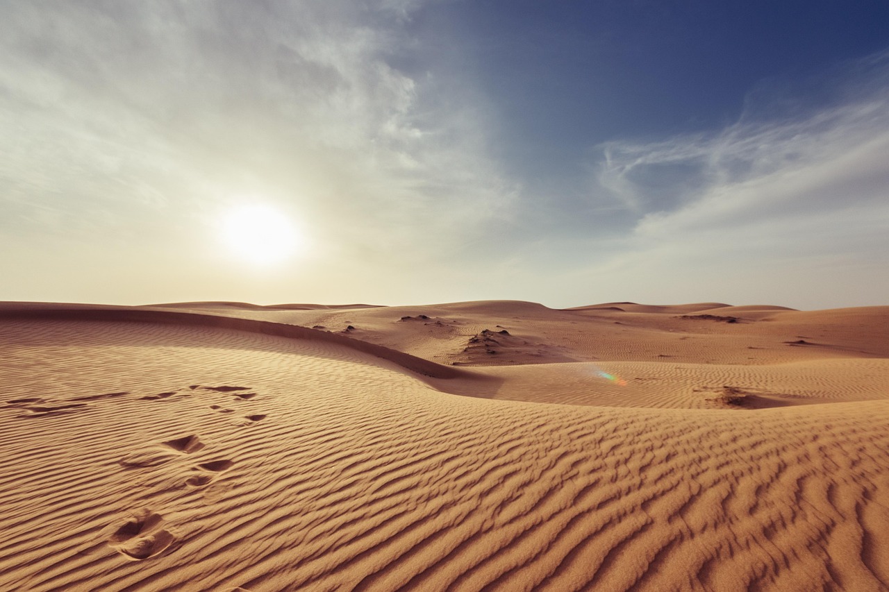 arid-1866541_1280