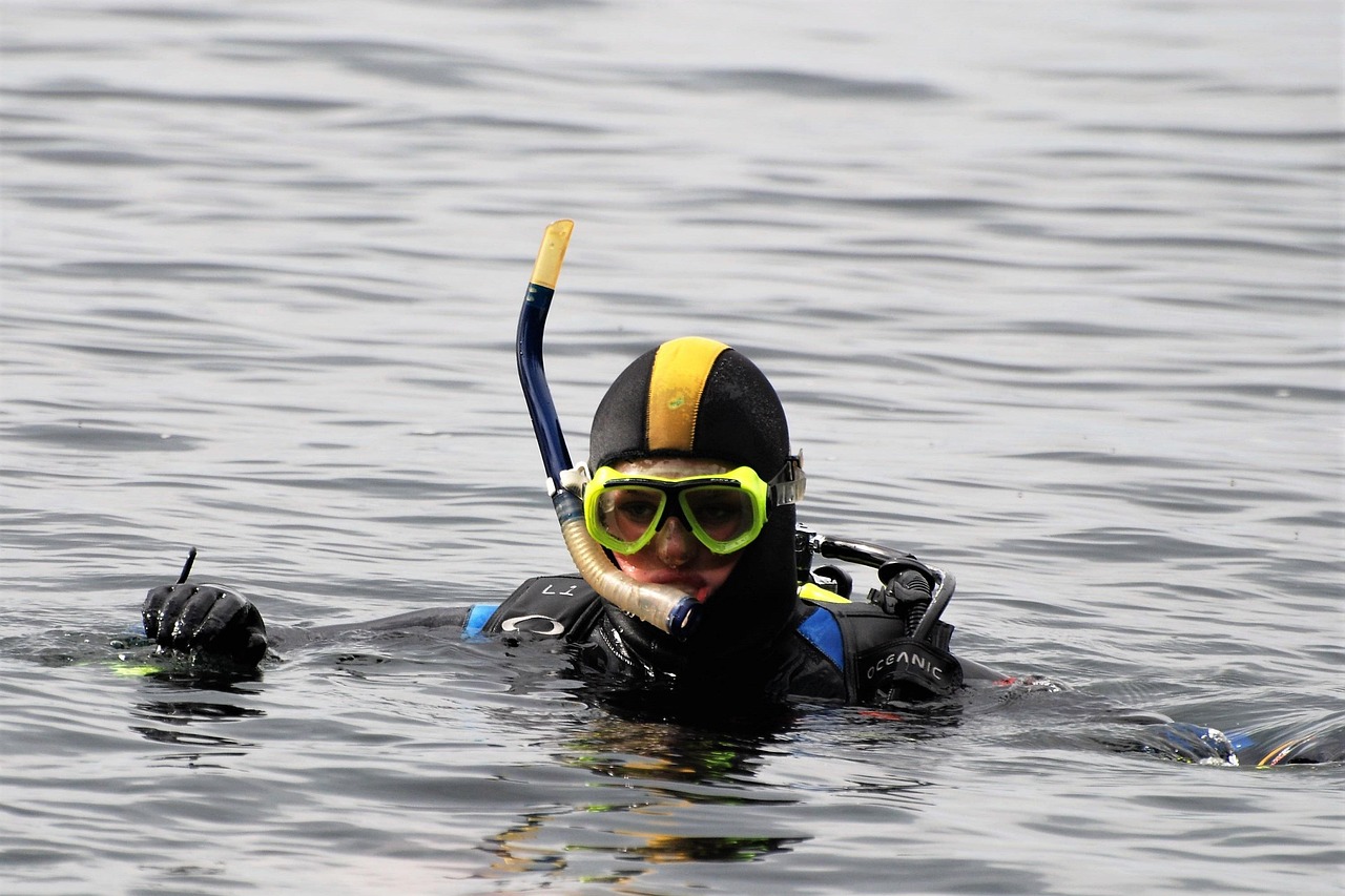 nature-pix-diver-3583004_1280