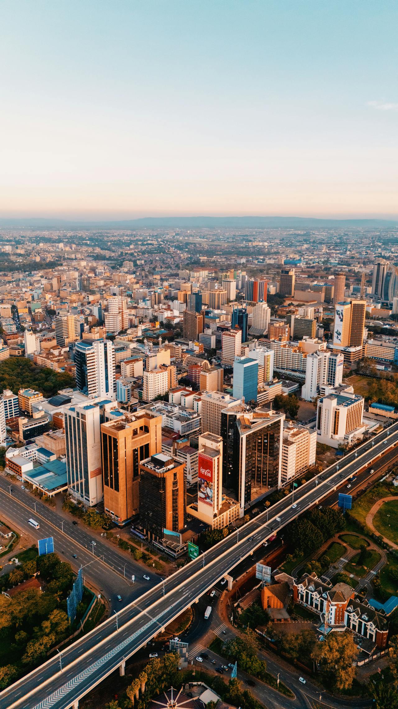 pexels-youngafrikanna-36964425