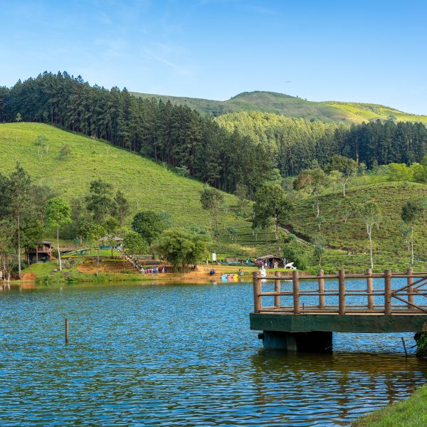 The Ultimate Guide to Visiting Nuwara Eliya: Top Places You Shouldn't Miss