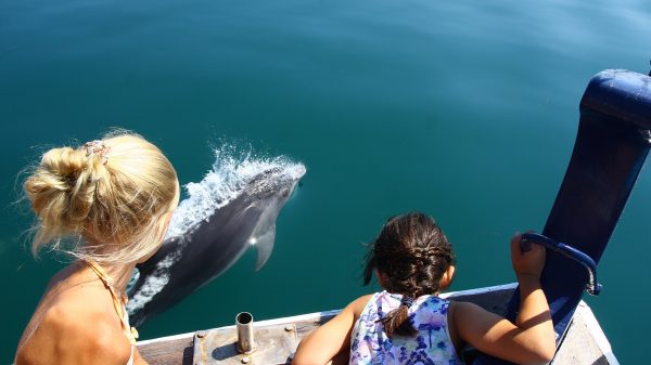 Resort Activities in Maldives: From Sunrise to Sunset