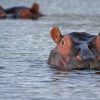 Complete Guide to Adventure Travel in Botswana