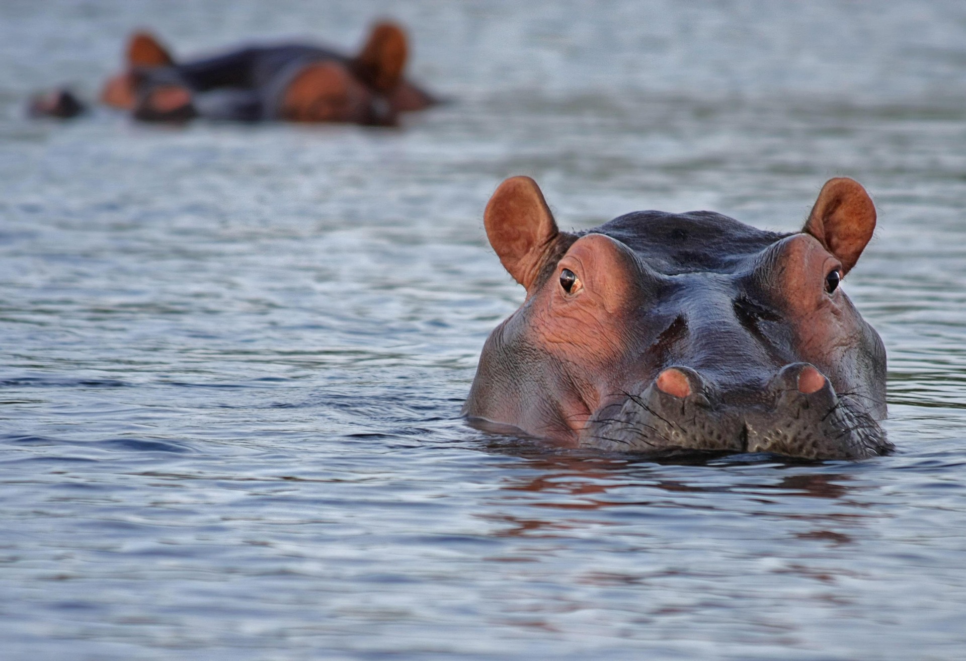 Complete Guide to Adventure Travel in Botswana