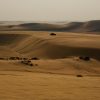 Family Day Trips from Doha for Desert Adventures, Dune Bashing, Camel Rides, and Practical Planning Tips