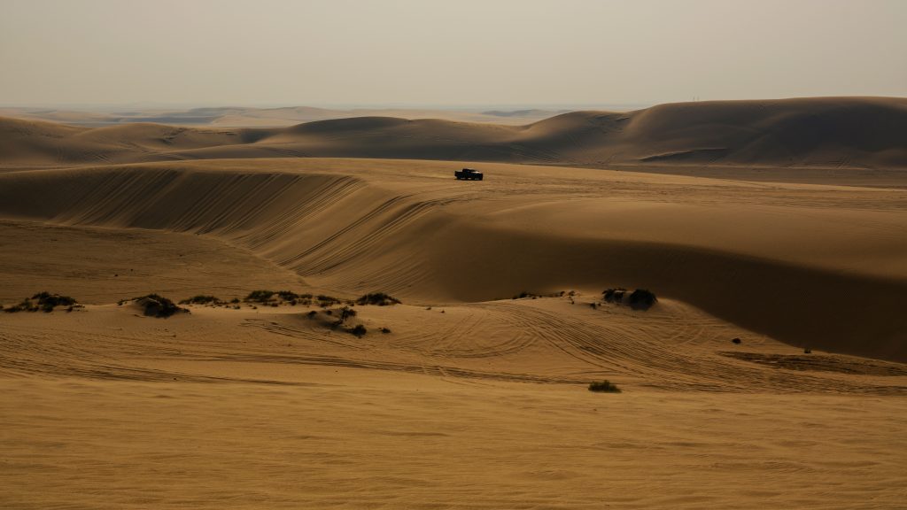 Family Day Trips from Doha for Desert Adventures, Dune Bashing, Camel Rides, and Practical Planning Tips