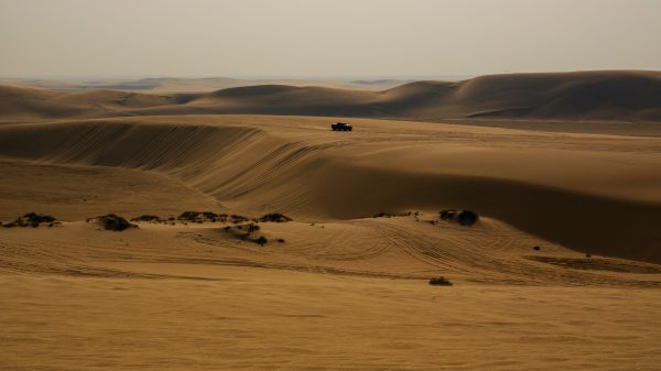 Family Day Trips from Doha for Desert Adventures, Dune Bashing, Camel Rides, and Practical Planning Tips