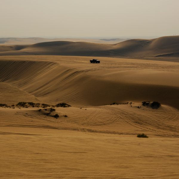 Family Day Trips from Doha for Desert Adventures, Dune Bashing, Camel Rides, and Practical Planning Tips