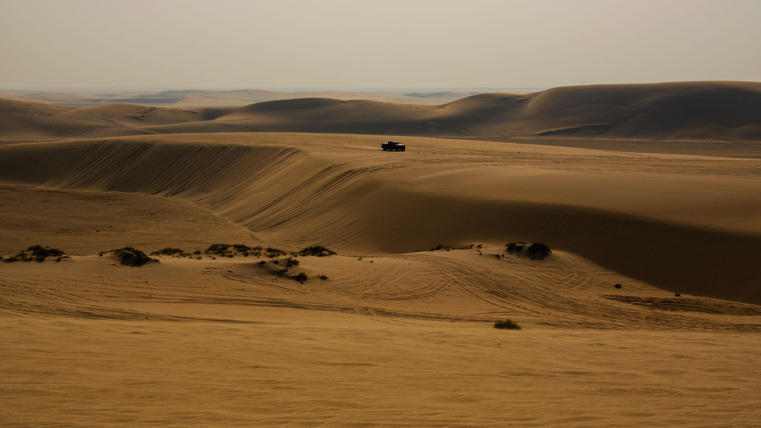 Family Day Trips from Doha for Desert Adventures, Dune Bashing, Camel Rides, and Practical Planning Tips
